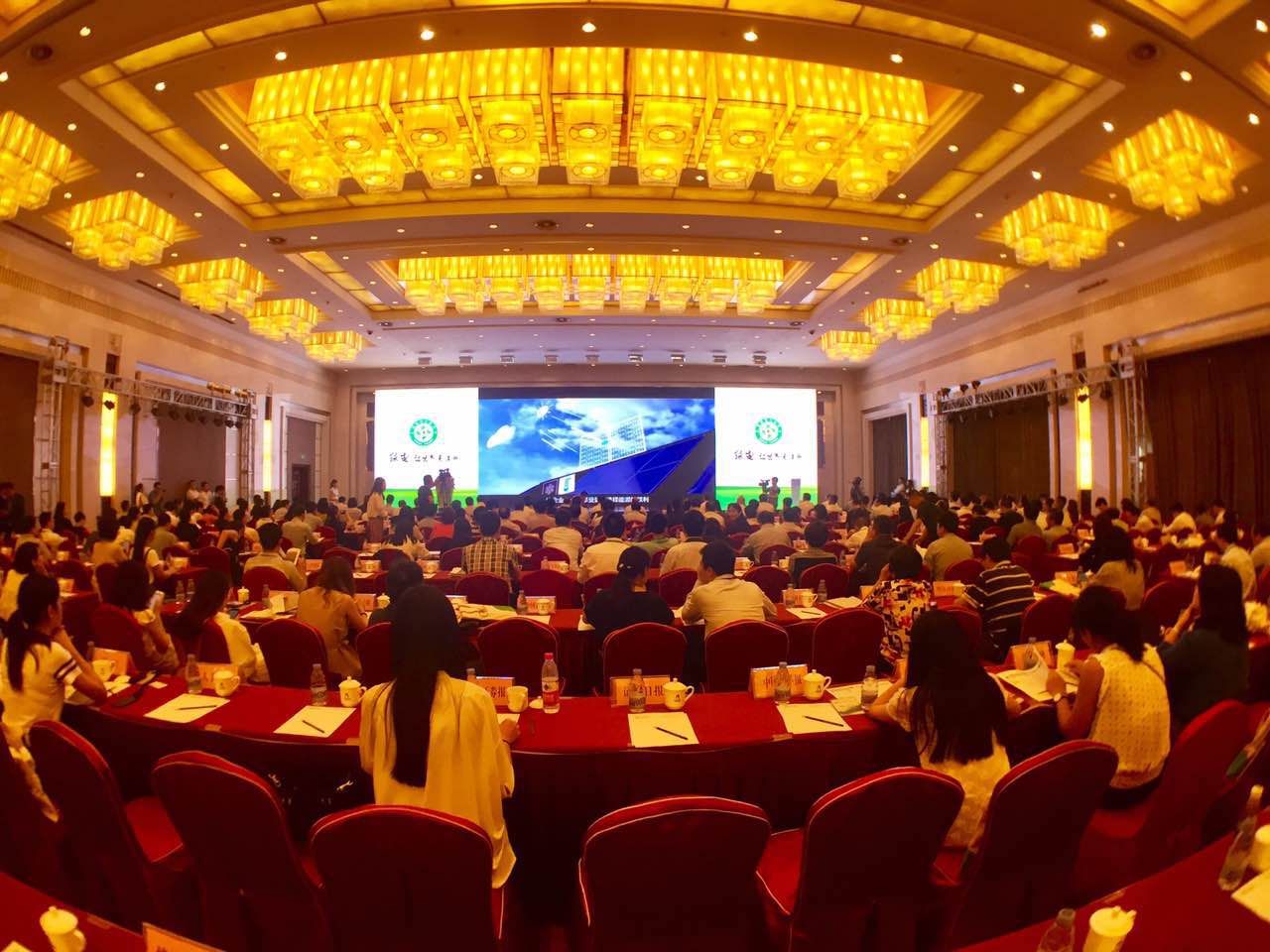 亚洲精品又粗又大又爽A片