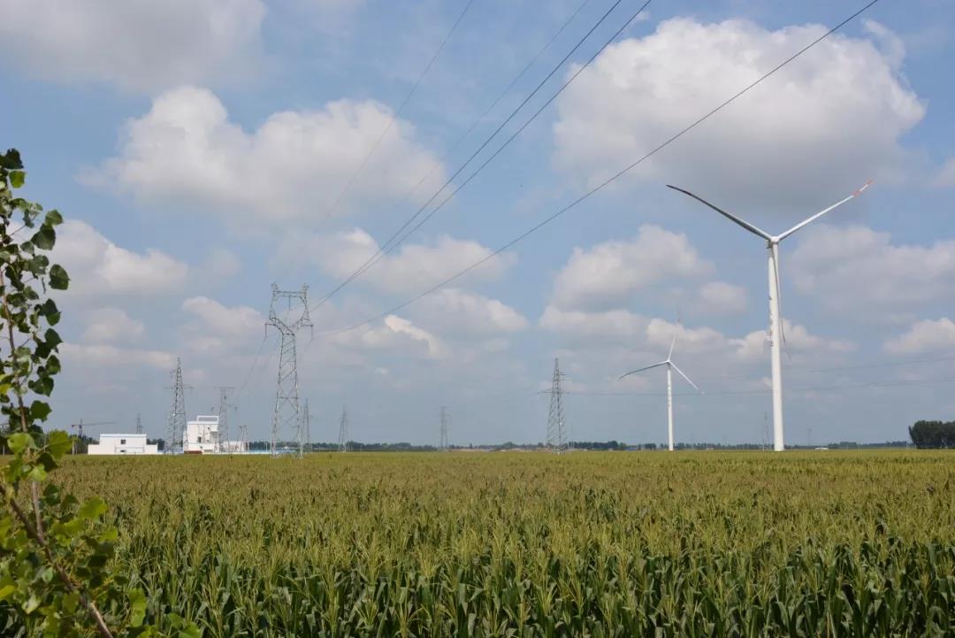 微信图片_20180619103224.jpg 微信图片_20180619103224.jpg