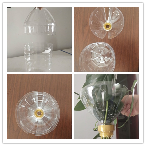 张萍姐new.jpg 张萍姐new.jpg