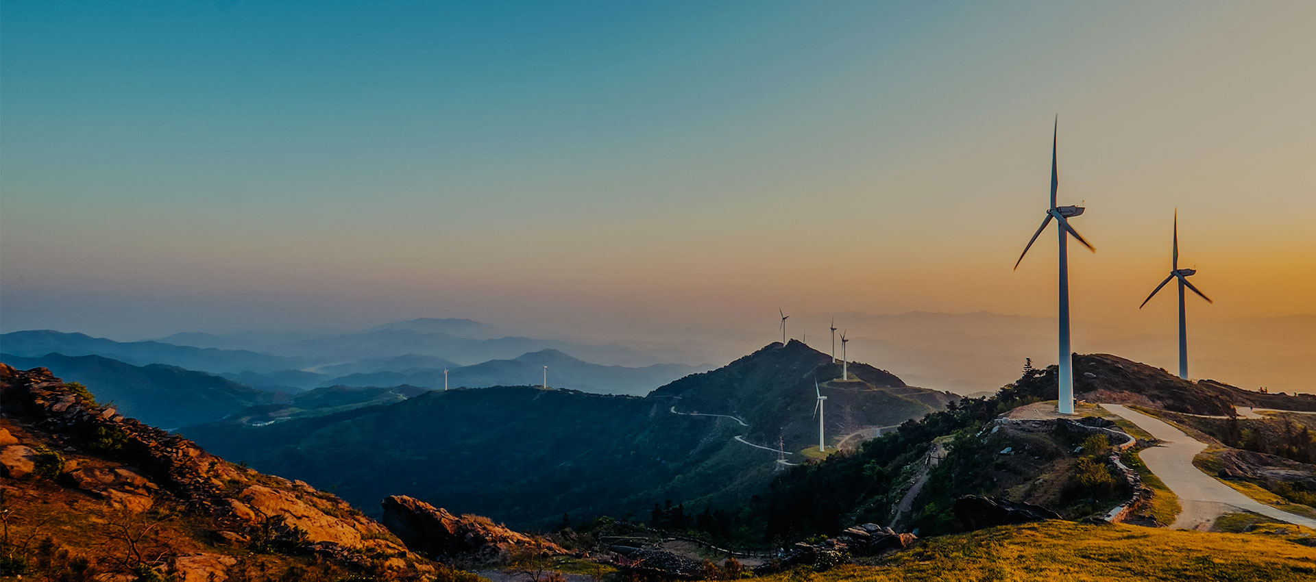 亚洲精品又粗又大又爽A片