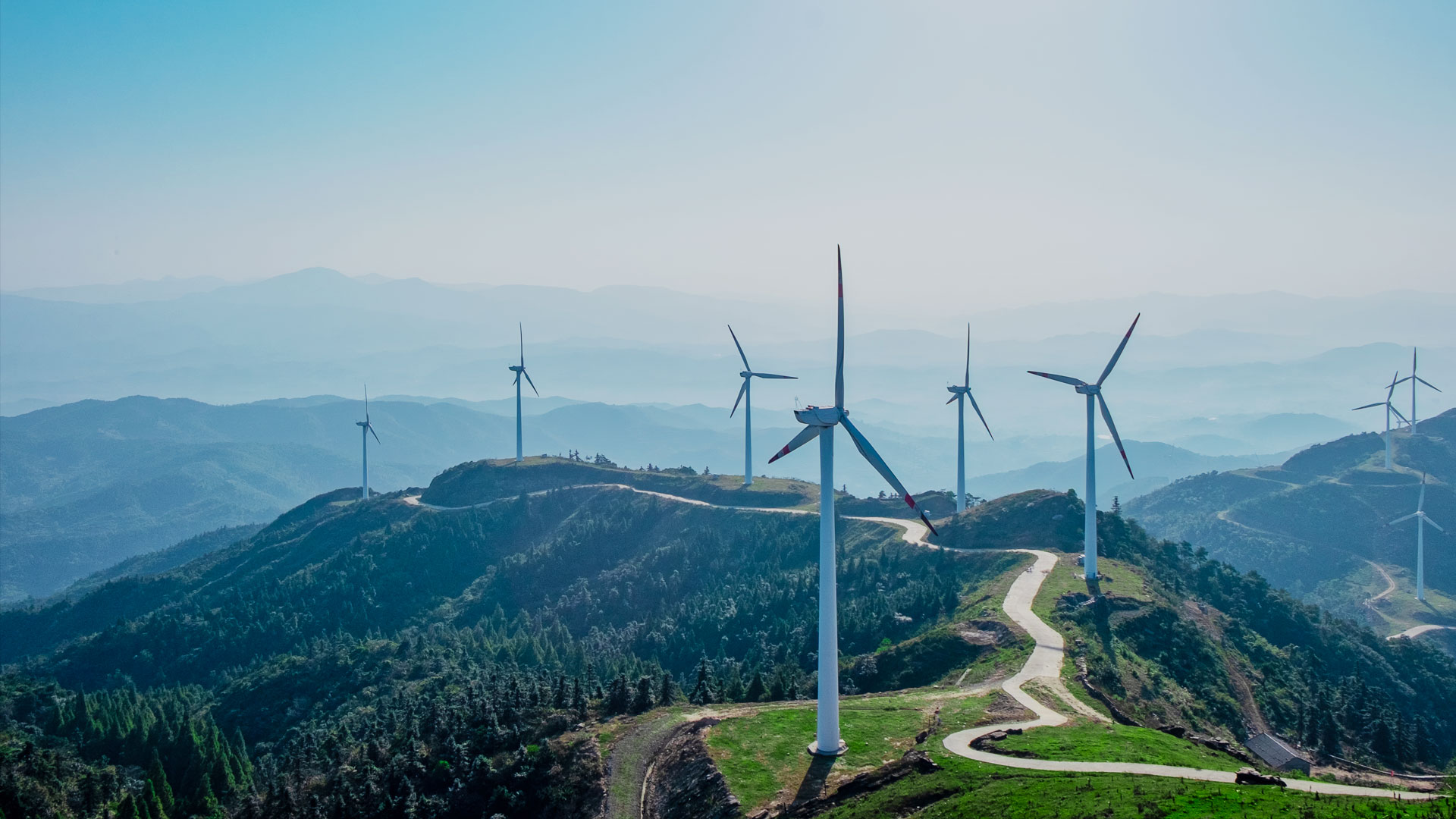 亚洲精品又粗又大又爽A片