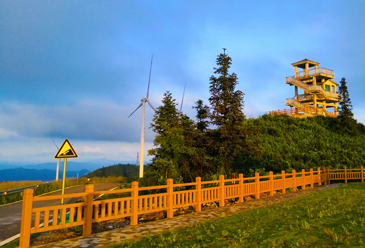 亚洲精品又粗又大又爽A片