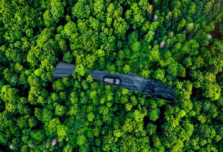 亚洲精品又粗又大又爽A片