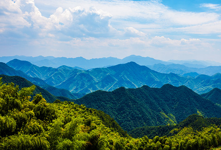 亚洲精品又粗又大又爽A片